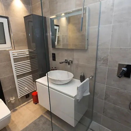 Lux Platinia Central شقة كلوج-نابوكا